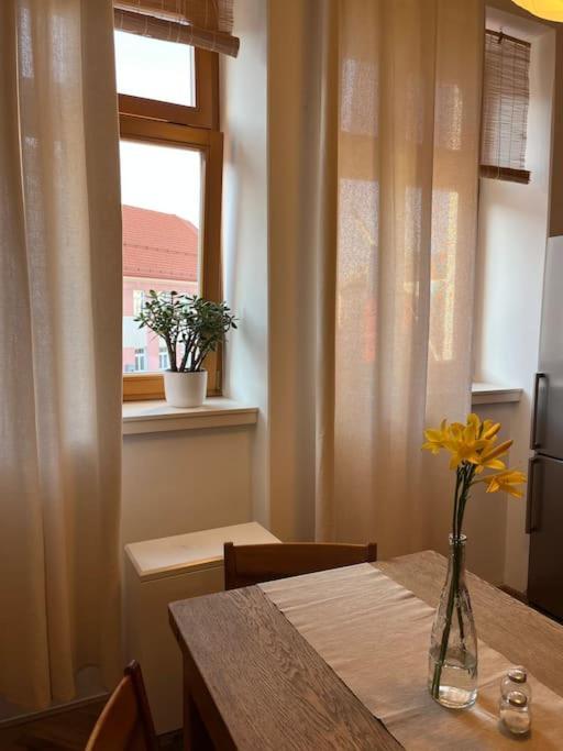 Apartman Pod Valdickou Branou Jičín Buitenkant foto